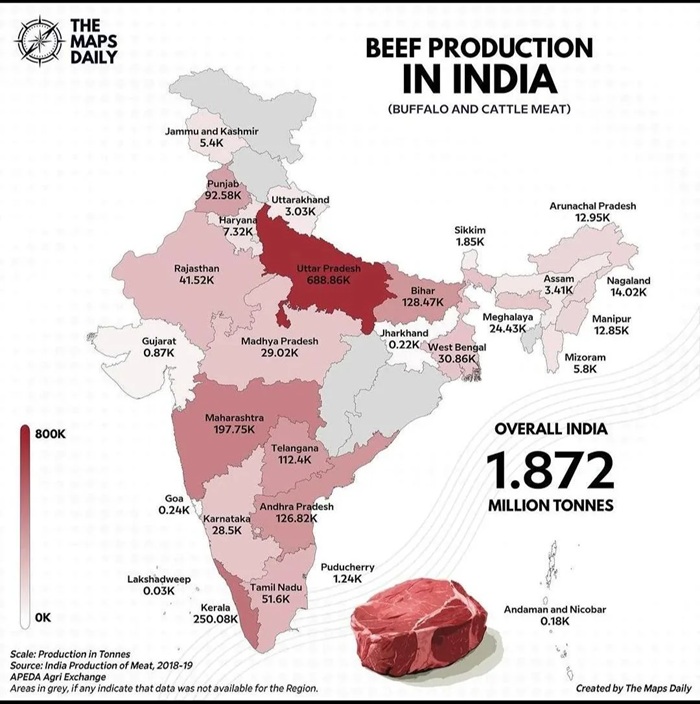 beef production in india