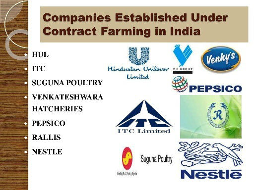 companies in contract farming