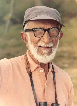 salim ali 450