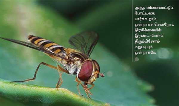 Arivumathi