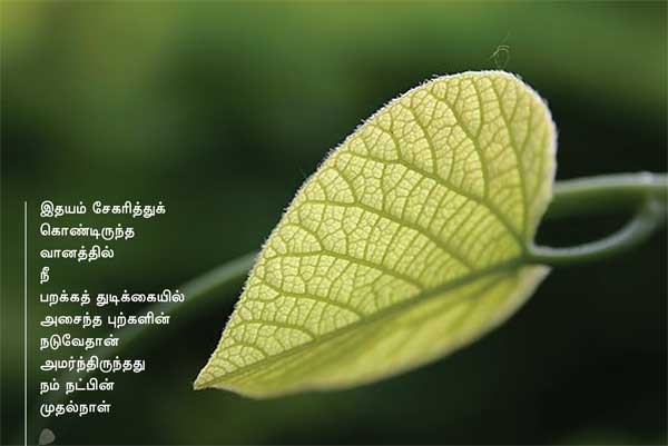 Arivumathi