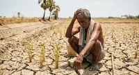 காவிரி தகராறும் டெல்டா விவசாயிகளின் அவல நிலையும்