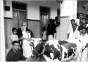 வாலிபர்களே உலக முற்போக்குக்கும் உலக பிற்போக்குக்கும் காரணஸ்தர்கள்