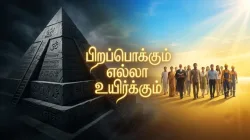 சனாதனம் காப்பதற்குப் போராடும் பார்ப்பன வஞ்சகர்களும், துணை போகும் சூத்திர ஏமாளிகளும்!