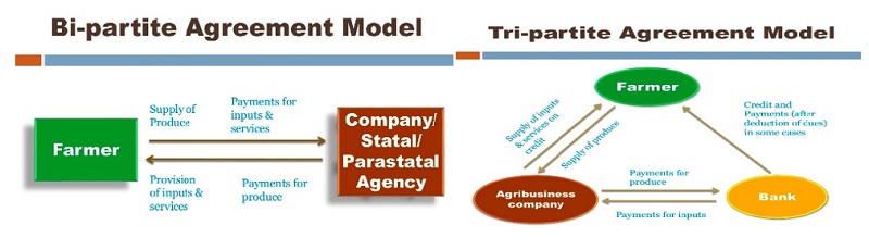 agreement model 1