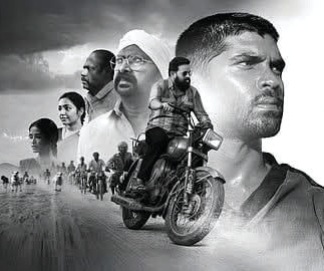 bison movie