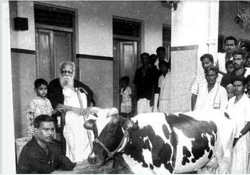 periyar with cadres and cow