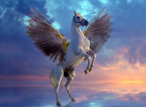 horse 438