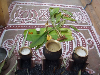 pongal