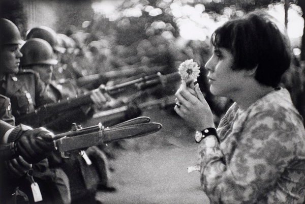 flower against guns