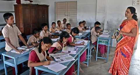 school 481