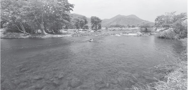 cauvery-river- 600