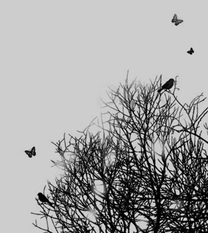 tree birds