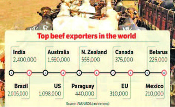 beef census report 600