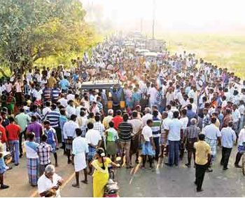 Rajapalayam Dengue