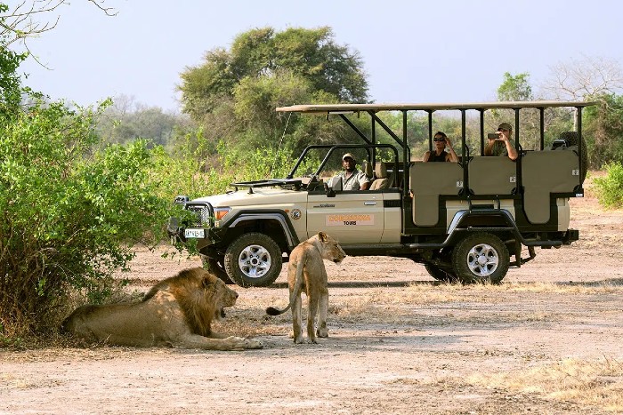 Gorongosa National Park