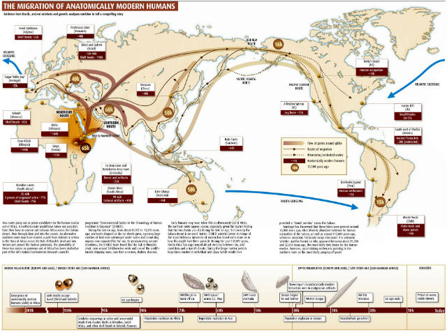 migration_of_modern_humans_640