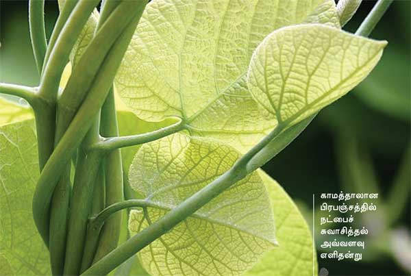 Arivumathi