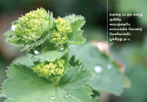 Arivumathi