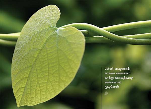 Arivumathi