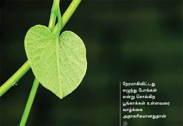 Arivumathi