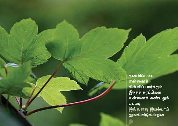 Arivumathi