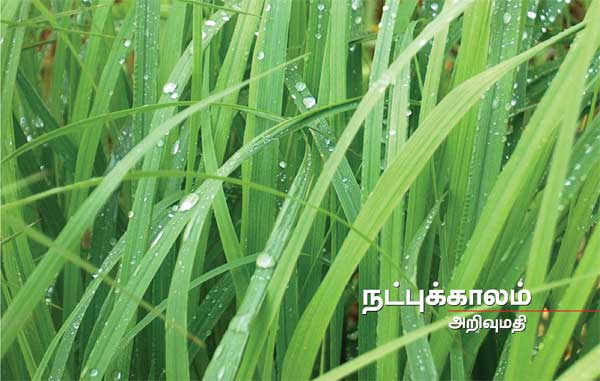 Arivumathi
